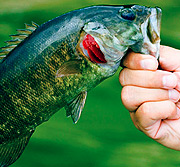 手机号压测网站